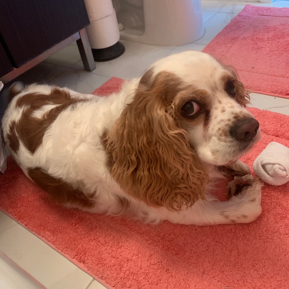 Meet your Posher, Nina